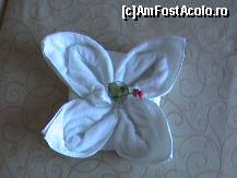 [P09] floare in... floare. prima e realizata de cameriste din... prosop. incununata de un trandafir. as dori ca si in hotelurile din scumpa noastra patrie sa vedem aceeasi grija. mai asteptam... » foto by ciprian.marius*
 - 
<span class="allrVoted glyphicon glyphicon-heart hidden" id="av80819"></span>
<a class="m-l-10 hidden" id="sv80819" onclick="voting_Foto_DelVot(,80819,2846)" role="button">șterge vot <span class="glyphicon glyphicon-remove"></span></a>
<a id="v980819" class=" c-red"  onclick="voting_Foto_SetVot(80819)" role="button"><span class="glyphicon glyphicon-heart-empty"></span> <b>LIKE</b> = Votează poza</a> <img class="hidden"  id="f80819W9" src="/imagini/loader.gif" border="0" /><span class="AjErrMes hidden" id="e80819ErM"></span>