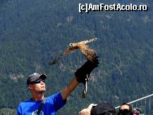 [P30] Show cu pasari la Adler Arena langa Villach.  » foto by BOGDAN DSN
 - 
<span class="allrVoted glyphicon glyphicon-heart hidden" id="av399249"></span>
<a class="m-l-10 hidden" id="sv399249" onclick="voting_Foto_DelVot(,399249,2854)" role="button">șterge vot <span class="glyphicon glyphicon-remove"></span></a>
<a id="v9399249" class=" c-red"  onclick="voting_Foto_SetVot(399249)" role="button"><span class="glyphicon glyphicon-heart-empty"></span> <b>LIKE</b> = Votează poza</a> <img class="hidden"  id="f399249W9" src="/imagini/loader.gif" border="0" /><span class="AjErrMes hidden" id="e399249ErM"></span>