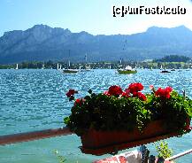 [P09] Mondsee, de pe terasa unui restaurant » foto by contafa
 - 
<span class="allrVoted glyphicon glyphicon-heart hidden" id="av262868"></span>
<a class="m-l-10 hidden" id="sv262868" onclick="voting_Foto_DelVot(,262868,2854)" role="button">șterge vot <span class="glyphicon glyphicon-remove"></span></a>
<a id="v9262868" class=" c-red"  onclick="voting_Foto_SetVot(262868)" role="button"><span class="glyphicon glyphicon-heart-empty"></span> <b>LIKE</b> = Votează poza</a> <img class="hidden"  id="f262868W9" src="/imagini/loader.gif" border="0" /><span class="AjErrMes hidden" id="e262868ErM"></span>