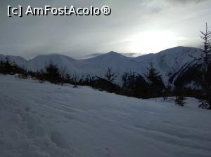 [P10] La B&acirc;rcaciu » foto by Mioritik
 - 
<span class="allrVoted glyphicon glyphicon-heart hidden" id="av1229043"></span>
<a class="m-l-10 hidden" id="sv1229043" onclick="voting_Foto_DelVot(,1229043,2855)" role="button">șterge vot <span class="glyphicon glyphicon-remove"></span></a>
<a id="v91229043" class=" c-red"  onclick="voting_Foto_SetVot(1229043)" role="button"><span class="glyphicon glyphicon-heart-empty"></span> <b>LIKE</b> = Votează poza</a> <img class="hidden"  id="f1229043W9" src="/imagini/loader.gif" border="0" /><span class="AjErrMes hidden" id="e1229043ErM"></span>