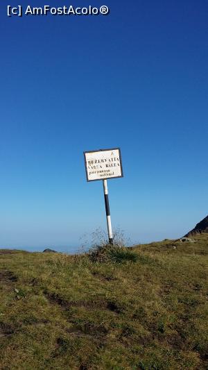 [P05] Rezervatia Valea Balea » foto by raducondurache
 - 
<span class="allrVoted glyphicon glyphicon-heart hidden" id="av895283"></span>
<a class="m-l-10 hidden" id="sv895283" onclick="voting_Foto_DelVot(,895283,2855)" role="button">șterge vot <span class="glyphicon glyphicon-remove"></span></a>
<a id="v9895283" class=" c-red"  onclick="voting_Foto_SetVot(895283)" role="button"><span class="glyphicon glyphicon-heart-empty"></span> <b>LIKE</b> = Votează poza</a> <img class="hidden"  id="f895283W9" src="/imagini/loader.gif" border="0" /><span class="AjErrMes hidden" id="e895283ErM"></span>