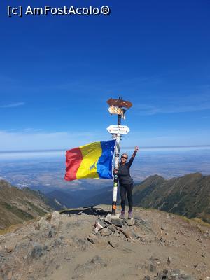 [P16] V&acirc;rful Viștea Mare » foto by robert
 - 
<span class="allrVoted glyphicon glyphicon-heart hidden" id="av1189968"></span>
<a class="m-l-10 hidden" id="sv1189968" onclick="voting_Foto_DelVot(,1189968,2855)" role="button">șterge vot <span class="glyphicon glyphicon-remove"></span></a>
<a id="v91189968" class=" c-red"  onclick="voting_Foto_SetVot(1189968)" role="button"><span class="glyphicon glyphicon-heart-empty"></span> <b>LIKE</b> = Votează poza</a> <img class="hidden"  id="f1189968W9" src="/imagini/loader.gif" border="0" /><span class="AjErrMes hidden" id="e1189968ErM"></span>