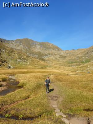 [P06] zona mlăștinoasă » foto by robert
 - 
<span class="allrVoted glyphicon glyphicon-heart hidden" id="av1189958"></span>
<a class="m-l-10 hidden" id="sv1189958" onclick="voting_Foto_DelVot(,1189958,2855)" role="button">șterge vot <span class="glyphicon glyphicon-remove"></span></a>
<a id="v91189958" class=" c-red"  onclick="voting_Foto_SetVot(1189958)" role="button"><span class="glyphicon glyphicon-heart-empty"></span> <b>LIKE</b> = Votează poza</a> <img class="hidden"  id="f1189958W9" src="/imagini/loader.gif" border="0" /><span class="AjErrMes hidden" id="e1189958ErM"></span>