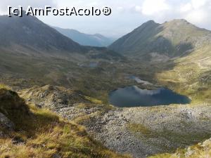 [P35] Lacul Podragu » foto by Mika
 - 
<span class="allrVoted glyphicon glyphicon-heart hidden" id="av1185643"></span>
<a class="m-l-10 hidden" id="sv1185643" onclick="voting_Foto_DelVot(,1185643,2855)" role="button">șterge vot <span class="glyphicon glyphicon-remove"></span></a>
<a id="v91185643" class=" c-red"  onclick="voting_Foto_SetVot(1185643)" role="button"><span class="glyphicon glyphicon-heart-empty"></span> <b>LIKE</b> = Votează poza</a> <img class="hidden"  id="f1185643W9" src="/imagini/loader.gif" border="0" /><span class="AjErrMes hidden" id="e1185643ErM"></span>