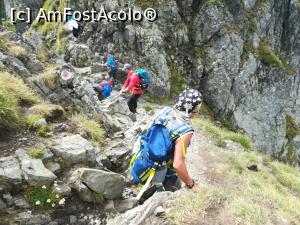 [P16] Intre Viștea și Moldoveanu, un traseu puțin expus » foto by Mika
 - 
<span class="allrVoted glyphicon glyphicon-heart hidden" id="av1186331"></span>
<a class="m-l-10 hidden" id="sv1186331" onclick="voting_Foto_DelVot(,1186331,2855)" role="button">șterge vot <span class="glyphicon glyphicon-remove"></span></a>
<a id="v91186331" class=" c-red"  onclick="voting_Foto_SetVot(1186331)" role="button"><span class="glyphicon glyphicon-heart-empty"></span> <b>LIKE</b> = Votează poza</a> <img class="hidden"  id="f1186331W9" src="/imagini/loader.gif" border="0" /><span class="AjErrMes hidden" id="e1186331ErM"></span>