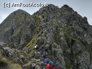 [P17] In față este Moldoveanu. Mai avem pușin! » foto by Mika
 - 
<span class="allrVoted glyphicon glyphicon-heart hidden" id="av1186332"></span>
<a class="m-l-10 hidden" id="sv1186332" onclick="voting_Foto_DelVot(,1186332,2855)" role="button">șterge vot <span class="glyphicon glyphicon-remove"></span></a>
<a id="v91186332" class=" c-red"  onclick="voting_Foto_SetVot(1186332)" role="button"><span class="glyphicon glyphicon-heart-empty"></span> <b>LIKE</b> = Votează poza</a> <img class="hidden"  id="f1186332W9" src="/imagini/loader.gif" border="0" /><span class="AjErrMes hidden" id="e1186332ErM"></span>