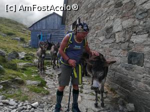 [P02] Cu măgărușii care fac aprovizionarea la cabană » foto by Mika
 - 
<span class="allrVoted glyphicon glyphicon-heart hidden" id="av1186317"></span>
<a class="m-l-10 hidden" id="sv1186317" onclick="voting_Foto_DelVot(,1186317,2855)" role="button">șterge vot <span class="glyphicon glyphicon-remove"></span></a>
<a id="v91186317" class=" c-red"  onclick="voting_Foto_SetVot(1186317)" role="button"><span class="glyphicon glyphicon-heart-empty"></span> <b>LIKE</b> = Votează poza</a> <img class="hidden"  id="f1186317W9" src="/imagini/loader.gif" border="0" /><span class="AjErrMes hidden" id="e1186317ErM"></span>