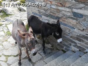 [P03] Doi angajați ai cabanei » foto by Mika
 - 
<span class="allrVoted glyphicon glyphicon-heart hidden" id="av1186318"></span>
<a class="m-l-10 hidden" id="sv1186318" onclick="voting_Foto_DelVot(,1186318,2855)" role="button">șterge vot <span class="glyphicon glyphicon-remove"></span></a>
<a id="v91186318" class=" c-red"  onclick="voting_Foto_SetVot(1186318)" role="button"><span class="glyphicon glyphicon-heart-empty"></span> <b>LIKE</b> = Votează poza</a> <img class="hidden"  id="f1186318W9" src="/imagini/loader.gif" border="0" /><span class="AjErrMes hidden" id="e1186318ErM"></span>