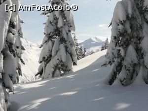 [P11] Fereastră cu vedere spre Negoiu » foto by Mika
 - 
<span class="allrVoted glyphicon glyphicon-heart hidden" id="av1221524"></span>
<a class="m-l-10 hidden" id="sv1221524" onclick="voting_Foto_DelVot(,1221524,2855)" role="button">șterge vot <span class="glyphicon glyphicon-remove"></span></a>
<a id="v91221524" class=" c-red"  onclick="voting_Foto_SetVot(1221524)" role="button"><span class="glyphicon glyphicon-heart-empty"></span> <b>LIKE</b> = Votează poza</a> <img class="hidden"  id="f1221524W9" src="/imagini/loader.gif" border="0" /><span class="AjErrMes hidden" id="e1221524ErM"></span>