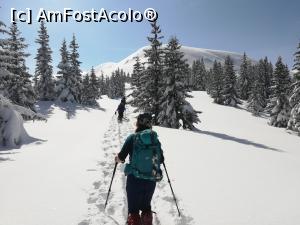 [P31] Spre Platoul Scărișoarei » foto by Mika
 - 
<span class="allrVoted glyphicon glyphicon-heart hidden" id="av1221544"></span>
<a class="m-l-10 hidden" id="sv1221544" onclick="voting_Foto_DelVot(,1221544,2855)" role="button">șterge vot <span class="glyphicon glyphicon-remove"></span></a>
<a id="v91221544" class=" c-red"  onclick="voting_Foto_SetVot(1221544)" role="button"><span class="glyphicon glyphicon-heart-empty"></span> <b>LIKE</b> = Votează poza</a> <img class="hidden"  id="f1221544W9" src="/imagini/loader.gif" border="0" /><span class="AjErrMes hidden" id="e1221544ErM"></span>