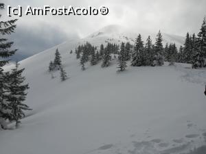 [P32] Spre Platoul Scărișoarei » foto by Mika
 - 
<span class="allrVoted glyphicon glyphicon-heart hidden" id="av1221545"></span>
<a class="m-l-10 hidden" id="sv1221545" onclick="voting_Foto_DelVot(,1221545,2855)" role="button">șterge vot <span class="glyphicon glyphicon-remove"></span></a>
<a id="v91221545" class=" c-red"  onclick="voting_Foto_SetVot(1221545)" role="button"><span class="glyphicon glyphicon-heart-empty"></span> <b>LIKE</b> = Votează poza</a> <img class="hidden"  id="f1221545W9" src="/imagini/loader.gif" border="0" /><span class="AjErrMes hidden" id="e1221545ErM"></span>