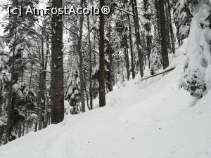 [P33] Cobor&acirc;rea spre Pensiunea Poiuana Neamțului » foto by Mika
 - 
<span class="allrVoted glyphicon glyphicon-heart hidden" id="av1221546"></span>
<a class="m-l-10 hidden" id="sv1221546" onclick="voting_Foto_DelVot(,1221546,2855)" role="button">șterge vot <span class="glyphicon glyphicon-remove"></span></a>
<a id="v91221546" class=" c-red"  onclick="voting_Foto_SetVot(1221546)" role="button"><span class="glyphicon glyphicon-heart-empty"></span> <b>LIKE</b> = Votează poza</a> <img class="hidden"  id="f1221546W9" src="/imagini/loader.gif" border="0" /><span class="AjErrMes hidden" id="e1221546ErM"></span>