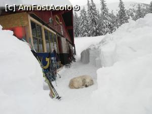 [P06] Cabana Barcaciu și paznicul ei de nădejde » foto by Mika
 - 
<span class="allrVoted glyphicon glyphicon-heart hidden" id="av1221519"></span>
<a class="m-l-10 hidden" id="sv1221519" onclick="voting_Foto_DelVot(,1221519,2855)" role="button">șterge vot <span class="glyphicon glyphicon-remove"></span></a>
<a id="v91221519" class=" c-red"  onclick="voting_Foto_SetVot(1221519)" role="button"><span class="glyphicon glyphicon-heart-empty"></span> <b>LIKE</b> = Votează poza</a> <img class="hidden"  id="f1221519W9" src="/imagini/loader.gif" border="0" /><span class="AjErrMes hidden" id="e1221519ErM"></span>