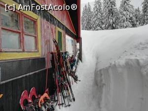 [P07] Cabana Barcaciu » foto by Mika
 - 
<span class="allrVoted glyphicon glyphicon-heart hidden" id="av1221520"></span>
<a class="m-l-10 hidden" id="sv1221520" onclick="voting_Foto_DelVot(,1221520,2855)" role="button">șterge vot <span class="glyphicon glyphicon-remove"></span></a>
<a id="v91221520" class=" c-red"  onclick="voting_Foto_SetVot(1221520)" role="button"><span class="glyphicon glyphicon-heart-empty"></span> <b>LIKE</b> = Votează poza</a> <img class="hidden"  id="f1221520W9" src="/imagini/loader.gif" border="0" /><span class="AjErrMes hidden" id="e1221520ErM"></span>