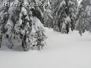 [P08] La răscruce de drumuri » foto by Mika
 - 
<span class="allrVoted glyphicon glyphicon-heart hidden" id="av1221521"></span>
<a class="m-l-10 hidden" id="sv1221521" onclick="voting_Foto_DelVot(,1221521,2855)" role="button">șterge vot <span class="glyphicon glyphicon-remove"></span></a>
<a id="v91221521" class=" c-red"  onclick="voting_Foto_SetVot(1221521)" role="button"><span class="glyphicon glyphicon-heart-empty"></span> <b>LIKE</b> = Votează poza</a> <img class="hidden"  id="f1221521W9" src="/imagini/loader.gif" border="0" /><span class="AjErrMes hidden" id="e1221521ErM"></span>