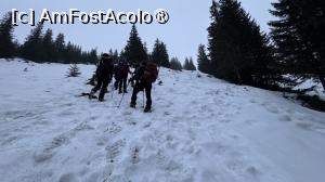 [P07] Spre Vârful Serbota » foto by Mika
 - 
<span class="allrVoted glyphicon glyphicon-heart hidden" id="av1525878"></span>
<a class="m-l-10 hidden" id="sv1525878" onclick="voting_Foto_DelVot(,1525878,2855)" role="button">șterge vot <span class="glyphicon glyphicon-remove"></span></a>
<a id="v91525878" class=" c-red"  onclick="voting_Foto_SetVot(1525878)" role="button"><span class="glyphicon glyphicon-heart-empty"></span> <b>LIKE</b> = Votează poza</a> <img class="hidden"  id="f1525878W9" src="/imagini/loader.gif" border="0" /><span class="AjErrMes hidden" id="e1525878ErM"></span>