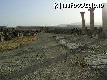 [P06] Volubilis - Pe strada principala. » foto by iulianic
 - 
<span class="allrVoted glyphicon glyphicon-heart hidden" id="av297255"></span>
<a class="m-l-10 hidden" id="sv297255" onclick="voting_Foto_DelVot(,297255,2870)" role="button">șterge vot <span class="glyphicon glyphicon-remove"></span></a>
<a id="v9297255" class=" c-red"  onclick="voting_Foto_SetVot(297255)" role="button"><span class="glyphicon glyphicon-heart-empty"></span> <b>LIKE</b> = Votează poza</a> <img class="hidden"  id="f297255W9" src="/imagini/loader.gif" border="0" /><span class="AjErrMes hidden" id="e297255ErM"></span>