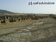 [P07] Volubilis - Strada antica. » foto by iulianic
 - 
<span class="allrVoted glyphicon glyphicon-heart hidden" id="av297256"></span>
<a class="m-l-10 hidden" id="sv297256" onclick="voting_Foto_DelVot(,297256,2870)" role="button">șterge vot <span class="glyphicon glyphicon-remove"></span></a>
<a id="v9297256" class=" c-red"  onclick="voting_Foto_SetVot(297256)" role="button"><span class="glyphicon glyphicon-heart-empty"></span> <b>LIKE</b> = Votează poza</a> <img class="hidden"  id="f297256W9" src="/imagini/loader.gif" border="0" /><span class="AjErrMes hidden" id="e297256ErM"></span>