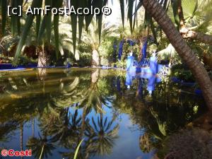 P11 [FEB-2017] În grădinile Majorelle, din Marrakech. 