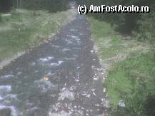 [P14] PEISAJ » foto by georgian7784
 - 
<span class="allrVoted glyphicon glyphicon-heart hidden" id="av11776"></span>
<a class="m-l-10 hidden" id="sv11776" onclick="voting_Foto_DelVot(,11776,2924)" role="button">șterge vot <span class="glyphicon glyphicon-remove"></span></a>
<a id="v911776" class=" c-red"  onclick="voting_Foto_SetVot(11776)" role="button"><span class="glyphicon glyphicon-heart-empty"></span> <b>LIKE</b> = Votează poza</a> <img class="hidden"  id="f11776W9" src="/imagini/loader.gif" border="0" /><span class="AjErrMes hidden" id="e11776ErM"></span>