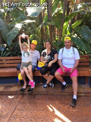 [P06] loro parc » foto by irinaoachi
 - 
<span class="allrVoted glyphicon glyphicon-heart hidden" id="av856772"></span>
<a class="m-l-10 hidden" id="sv856772" onclick="voting_Foto_DelVot(,856772,2933)" role="button">șterge vot <span class="glyphicon glyphicon-remove"></span></a>
<a id="v9856772" class=" c-red"  onclick="voting_Foto_SetVot(856772)" role="button"><span class="glyphicon glyphicon-heart-empty"></span> <b>LIKE</b> = Votează poza</a> <img class="hidden"  id="f856772W9" src="/imagini/loader.gif" border="0" /><span class="AjErrMes hidden" id="e856772ErM"></span>