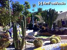 [P18] minigolf.....in gradina botanica » foto by ghecamelia
 - 
<span class="allrVoted glyphicon glyphicon-heart hidden" id="av22491"></span>
<a class="m-l-10 hidden" id="sv22491" onclick="voting_Foto_DelVot(,22491,2939)" role="button">șterge vot <span class="glyphicon glyphicon-remove"></span></a>
<a id="v922491" class=" c-red"  onclick="voting_Foto_SetVot(22491)" role="button"><span class="glyphicon glyphicon-heart-empty"></span> <b>LIKE</b> = Votează poza</a> <img class="hidden"  id="f22491W9" src="/imagini/loader.gif" border="0" /><span class="AjErrMes hidden" id="e22491ErM"></span>