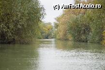 [P20] Alt canal...alte culori..alte cantece de pasari » foto by Diaura*
 - 
<span class="allrVoted glyphicon glyphicon-heart hidden" id="av44792"></span>
<a class="m-l-10 hidden" id="sv44792" onclick="voting_Foto_DelVot(,44792,2991)" role="button">șterge vot <span class="glyphicon glyphicon-remove"></span></a>
<a id="v944792" class=" c-red"  onclick="voting_Foto_SetVot(44792)" role="button"><span class="glyphicon glyphicon-heart-empty"></span> <b>LIKE</b> = Votează poza</a> <img class="hidden"  id="f44792W9" src="/imagini/loader.gif" border="0" /><span class="AjErrMes hidden" id="e44792ErM"></span>