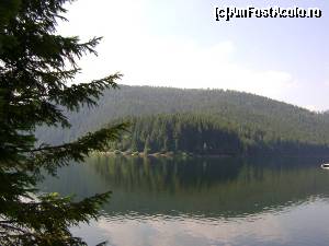 [P02] Lacul Fantanele » foto by Testosu'
 - 
<span class="allrVoted glyphicon glyphicon-heart hidden" id="av520944"></span>
<a class="m-l-10 hidden" id="sv520944" onclick="voting_Foto_DelVot(,520944,3018)" role="button">șterge vot <span class="glyphicon glyphicon-remove"></span></a>
<a id="v9520944" class=" c-red"  onclick="voting_Foto_SetVot(520944)" role="button"><span class="glyphicon glyphicon-heart-empty"></span> <b>LIKE</b> = Votează poza</a> <img class="hidden"  id="f520944W9" src="/imagini/loader.gif" border="0" /><span class="AjErrMes hidden" id="e520944ErM"></span>