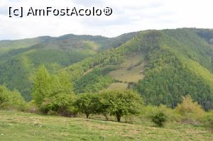 [P21] Înainte de Mărișel » foto by AZE
 - 
<span class="allrVoted glyphicon glyphicon-heart hidden" id="av966063"></span>
<a class="m-l-10 hidden" id="sv966063" onclick="voting_Foto_DelVot(,966063,3018)" role="button">șterge vot <span class="glyphicon glyphicon-remove"></span></a>
<a id="v9966063" class=" c-red"  onclick="voting_Foto_SetVot(966063)" role="button"><span class="glyphicon glyphicon-heart-empty"></span> <b>LIKE</b> = Votează poza</a> <img class="hidden"  id="f966063W9" src="/imagini/loader.gif" border="0" /><span class="AjErrMes hidden" id="e966063ErM"></span>