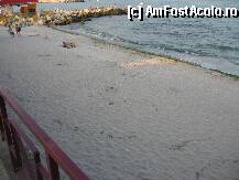 [P16] PLAJA  » foto by Abdul
 - 
<span class="allrVoted glyphicon glyphicon-heart hidden" id="av13130"></span>
<a class="m-l-10 hidden" id="sv13130" onclick="voting_Foto_DelVot(,13130,3025)" role="button">șterge vot <span class="glyphicon glyphicon-remove"></span></a>
<a id="v913130" class=" c-red"  onclick="voting_Foto_SetVot(13130)" role="button"><span class="glyphicon glyphicon-heart-empty"></span> <b>LIKE</b> = Votează poza</a> <img class="hidden"  id="f13130W9" src="/imagini/loader.gif" border="0" /><span class="AjErrMes hidden" id="e13130ErM"></span>