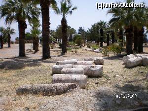 [P39] Palmieri şi coloane de marmură între Hierapolis şi Pamukkale » foto by irinad
 - 
<span class="allrVoted glyphicon glyphicon-heart hidden" id="av625931"></span>
<a class="m-l-10 hidden" id="sv625931" onclick="voting_Foto_DelVot(,625931,3039)" role="button">șterge vot <span class="glyphicon glyphicon-remove"></span></a>
<a id="v9625931" class=" c-red"  onclick="voting_Foto_SetVot(625931)" role="button"><span class="glyphicon glyphicon-heart-empty"></span> <b>LIKE</b> = Votează poza</a> <img class="hidden"  id="f625931W9" src="/imagini/loader.gif" border="0" /><span class="AjErrMes hidden" id="e625931ErM"></span>