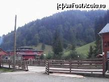 [P03]  -- <small>// FĂRĂ DESCRIERE</small> » foto by GABIALDO*
 - 
<span class="allrVoted glyphicon glyphicon-heart hidden" id="av113087"></span>
<a class="m-l-10 hidden" id="sv113087" onclick="voting_Foto_DelVot(,113087,3086)" role="button">șterge vot <span class="glyphicon glyphicon-remove"></span></a>
<a id="v9113087" class=" c-red"  onclick="voting_Foto_SetVot(113087)" role="button"><span class="glyphicon glyphicon-heart-empty"></span> <b>LIKE</b> = Votează poza</a> <img class="hidden"  id="f113087W9" src="/imagini/loader.gif" border="0" /><span class="AjErrMes hidden" id="e113087ErM"></span>