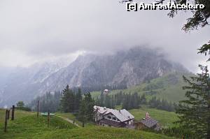 [P16] pe traseul circular pina la Zwieselalm, Herrenweg si apoi din nou la telecabina » foto by osna
 - 
<span class="allrVoted glyphicon glyphicon-heart hidden" id="av566120"></span>
<a class="m-l-10 hidden" id="sv566120" onclick="voting_Foto_DelVot(,566120,3095)" role="button">șterge vot <span class="glyphicon glyphicon-remove"></span></a>
<a id="v9566120" class=" c-red"  onclick="voting_Foto_SetVot(566120)" role="button"><span class="glyphicon glyphicon-heart-empty"></span> <b>LIKE</b> = Votează poza</a> <img class="hidden"  id="f566120W9" src="/imagini/loader.gif" border="0" /><span class="AjErrMes hidden" id="e566120ErM"></span>
