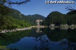 [P05] Gosausee, cunoscut pentru apa sa rece, limpede » foto by osna
 - 
<span class="allrVoted glyphicon glyphicon-heart hidden" id="av566109"></span>
<a class="m-l-10 hidden" id="sv566109" onclick="voting_Foto_DelVot(,566109,3095)" role="button">șterge vot <span class="glyphicon glyphicon-remove"></span></a>
<a id="v9566109" class=" c-red"  onclick="voting_Foto_SetVot(566109)" role="button"><span class="glyphicon glyphicon-heart-empty"></span> <b>LIKE</b> = Votează poza</a> <img class="hidden"  id="f566109W9" src="/imagini/loader.gif" border="0" /><span class="AjErrMes hidden" id="e566109ErM"></span>