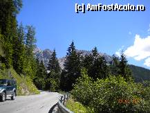 [P02] din cand in cand zarim printre brazi stancile Dachstein-ului » foto by Alina Morar
 - 
<span class="allrVoted glyphicon glyphicon-heart hidden" id="av281129"></span>
<a class="m-l-10 hidden" id="sv281129" onclick="voting_Foto_DelVot(,281129,3095)" role="button">șterge vot <span class="glyphicon glyphicon-remove"></span></a>
<a id="v9281129" class=" c-red"  onclick="voting_Foto_SetVot(281129)" role="button"><span class="glyphicon glyphicon-heart-empty"></span> <b>LIKE</b> = Votează poza</a> <img class="hidden"  id="f281129W9" src="/imagini/loader.gif" border="0" /><span class="AjErrMes hidden" id="e281129ErM"></span>