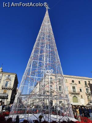 [P18] Bradul din Piazza Universita » foto by ilee
 - 
<span class="allrVoted glyphicon glyphicon-heart hidden" id="av1514336"></span>
<a class="m-l-10 hidden" id="sv1514336" onclick="voting_Foto_DelVot(,1514336,3109)" role="button">șterge vot <span class="glyphicon glyphicon-remove"></span></a>
<a id="v91514336" class=" c-red"  onclick="voting_Foto_SetVot(1514336)" role="button"><span class="glyphicon glyphicon-heart-empty"></span> <b>LIKE</b> = Votează poza</a> <img class="hidden"  id="f1514336W9" src="/imagini/loader.gif" border="0" /><span class="AjErrMes hidden" id="e1514336ErM"></span>