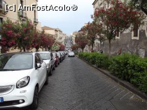 [P30] Via Antonino Di Sangiuliano » foto by irinad
 - 
<span class="allrVoted glyphicon glyphicon-heart hidden" id="av872788"></span>
<a class="m-l-10 hidden" id="sv872788" onclick="voting_Foto_DelVot(,872788,3109)" role="button">șterge vot <span class="glyphicon glyphicon-remove"></span></a>
<a id="v9872788" class=" c-red"  onclick="voting_Foto_SetVot(872788)" role="button"><span class="glyphicon glyphicon-heart-empty"></span> <b>LIKE</b> = Votează poza</a> <img class="hidden"  id="f872788W9" src="/imagini/loader.gif" border="0" /><span class="AjErrMes hidden" id="e872788ErM"></span>