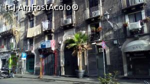 [P02] Tipic pentru Catania: cladire veche, eleganta dar prost intretinuta, cu palmieri in fata si cu rufe intinse peste tot » foto by Alexandru17
 - 
<span class="allrVoted glyphicon glyphicon-heart hidden" id="av855519"></span>
<a class="m-l-10 hidden" id="sv855519" onclick="voting_Foto_DelVot(,855519,3109)" role="button">șterge vot <span class="glyphicon glyphicon-remove"></span></a>
<a id="v9855519" class=" c-red"  onclick="voting_Foto_SetVot(855519)" role="button"><span class="glyphicon glyphicon-heart-empty"></span> <b>LIKE</b> = Votează poza</a> <img class="hidden"  id="f855519W9" src="/imagini/loader.gif" border="0" /><span class="AjErrMes hidden" id="e855519ErM"></span>