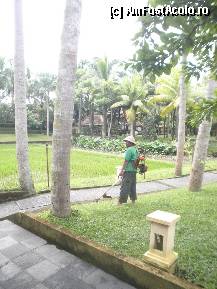 [P05] tunsul ierbii in resortul Ubud-villege » foto by grecudoina
 - 
<span class="allrVoted glyphicon glyphicon-heart hidden" id="av310266"></span>
<a class="m-l-10 hidden" id="sv310266" onclick="voting_Foto_DelVot(,310266,3149)" role="button">șterge vot <span class="glyphicon glyphicon-remove"></span></a>
<a id="v9310266" class=" c-red"  onclick="voting_Foto_SetVot(310266)" role="button"><span class="glyphicon glyphicon-heart-empty"></span> <b>LIKE</b> = Votează poza</a> <img class="hidden"  id="f310266W9" src="/imagini/loader.gif" border="0" /><span class="AjErrMes hidden" id="e310266ErM"></span>