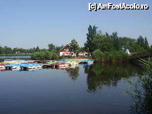 [P18] Hajduszoboszlo, Strandul de vara, lacul pe care se poate naviga, plin de crapi hamesiti » foto by sunflower
 - 
<span class="allrVoted glyphicon glyphicon-heart hidden" id="av450312"></span>
<a class="m-l-10 hidden" id="sv450312" onclick="voting_Foto_DelVot(,450312,3153)" role="button">șterge vot <span class="glyphicon glyphicon-remove"></span></a>
<a id="v9450312" class=" c-red"  onclick="voting_Foto_SetVot(450312)" role="button"><span class="glyphicon glyphicon-heart-empty"></span> <b>LIKE</b> = Votează poza</a> <img class="hidden"  id="f450312W9" src="/imagini/loader.gif" border="0" /><span class="AjErrMes hidden" id="e450312ErM"></span>