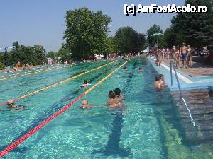 [P22] Hajduszoboszlo, Strandul de vara, piscina olimpica » foto by sunflower
 - 
<span class="allrVoted glyphicon glyphicon-heart hidden" id="av450316"></span>
<a class="m-l-10 hidden" id="sv450316" onclick="voting_Foto_DelVot(,450316,3153)" role="button">șterge vot <span class="glyphicon glyphicon-remove"></span></a>
<a id="v9450316" class=" c-red"  onclick="voting_Foto_SetVot(450316)" role="button"><span class="glyphicon glyphicon-heart-empty"></span> <b>LIKE</b> = Votează poza</a> <img class="hidden"  id="f450316W9" src="/imagini/loader.gif" border="0" /><span class="AjErrMes hidden" id="e450316ErM"></span>