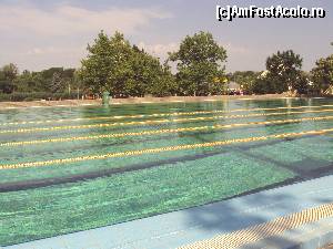 [P15] Piscina olimpică de 25 m lungime, cu culoare.  » foto by Carmen Ion
 - 
<span class="allrVoted glyphicon glyphicon-heart hidden" id="av632148"></span>
<a class="m-l-10 hidden" id="sv632148" onclick="voting_Foto_DelVot(,632148,3153)" role="button">șterge vot <span class="glyphicon glyphicon-remove"></span></a>
<a id="v9632148" class=" c-red"  onclick="voting_Foto_SetVot(632148)" role="button"><span class="glyphicon glyphicon-heart-empty"></span> <b>LIKE</b> = Votează poza</a> <img class="hidden"  id="f632148W9" src="/imagini/loader.gif" border="0" /><span class="AjErrMes hidden" id="e632148ErM"></span>