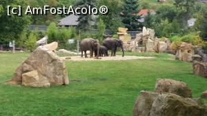 [P07] Zoo » foto by Patrim
 - 
<span class="allrVoted glyphicon glyphicon-heart hidden" id="av909977"></span>
<a class="m-l-10 hidden" id="sv909977" onclick="voting_Foto_DelVot(,909977,3167)" role="button">șterge vot <span class="glyphicon glyphicon-remove"></span></a>
<a id="v9909977" class=" c-red"  onclick="voting_Foto_SetVot(909977)" role="button"><span class="glyphicon glyphicon-heart-empty"></span> <b>LIKE</b> = Votează poza</a> <img class="hidden"  id="f909977W9" src="/imagini/loader.gif" border="0" /><span class="AjErrMes hidden" id="e909977ErM"></span>