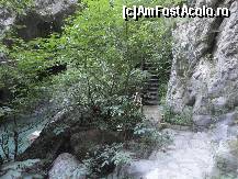 [P31] Mai avem si alte scari...  » foto by maryka
 - 
<span class="allrVoted glyphicon glyphicon-heart hidden" id="av426551"></span>
<a class="m-l-10 hidden" id="sv426551" onclick="voting_Foto_DelVot(,426551,3173)" role="button">șterge vot <span class="glyphicon glyphicon-remove"></span></a>
<a id="v9426551" class=" c-red"  onclick="voting_Foto_SetVot(426551)" role="button"><span class="glyphicon glyphicon-heart-empty"></span> <b>LIKE</b> = Votează poza</a> <img class="hidden"  id="f426551W9" src="/imagini/loader.gif" border="0" /><span class="AjErrMes hidden" id="e426551ErM"></span>