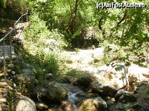 [P04] Drumul spre Cascada Dimosari » foto by aruapap*
 - 
<span class="allrVoted glyphicon glyphicon-heart hidden" id="av587511"></span>
<a class="m-l-10 hidden" id="sv587511" onclick="voting_Foto_DelVot(,587511,3173)" role="button">șterge vot <span class="glyphicon glyphicon-remove"></span></a>
<a id="v9587511" class=" c-red"  onclick="voting_Foto_SetVot(587511)" role="button"><span class="glyphicon glyphicon-heart-empty"></span> <b>LIKE</b> = Votează poza</a> <img class="hidden"  id="f587511W9" src="/imagini/loader.gif" border="0" /><span class="AjErrMes hidden" id="e587511ErM"></span>