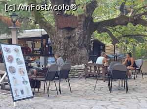 [P36] taverna Platanos langa cascada Nidri » foto by adryana
 - 
<span class="allrVoted glyphicon glyphicon-heart hidden" id="av1278711"></span>
<a class="m-l-10 hidden" id="sv1278711" onclick="voting_Foto_DelVot(,1278711,3173)" role="button">șterge vot <span class="glyphicon glyphicon-remove"></span></a>
<a id="v91278711" class=" c-red"  onclick="voting_Foto_SetVot(1278711)" role="button"><span class="glyphicon glyphicon-heart-empty"></span> <b>LIKE</b> = Votează poza</a> <img class="hidden"  id="f1278711W9" src="/imagini/loader.gif" border="0" /><span class="AjErrMes hidden" id="e1278711ErM"></span>