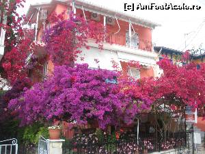 [P03] O vila din Nidri » foto by dorgo
 - 
<span class="allrVoted glyphicon glyphicon-heart hidden" id="av519390"></span>
<a class="m-l-10 hidden" id="sv519390" onclick="voting_Foto_DelVot(,519390,3173)" role="button">șterge vot <span class="glyphicon glyphicon-remove"></span></a>
<a id="v9519390" class=" c-red"  onclick="voting_Foto_SetVot(519390)" role="button"><span class="glyphicon glyphicon-heart-empty"></span> <b>LIKE</b> = Votează poza</a> <img class="hidden"  id="f519390W9" src="/imagini/loader.gif" border="0" /><span class="AjErrMes hidden" id="e519390ErM"></span>