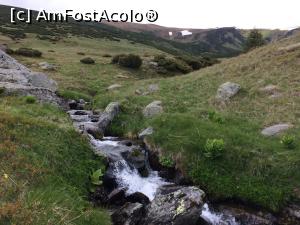 [P12] Paraul si jocul lui buclucas » foto by noi doi
 - 
<span class="allrVoted glyphicon glyphicon-heart hidden" id="av1166013"></span>
<a class="m-l-10 hidden" id="sv1166013" onclick="voting_Foto_DelVot(,1166013,3180)" role="button">șterge vot <span class="glyphicon glyphicon-remove"></span></a>
<a id="v91166013" class=" c-red"  onclick="voting_Foto_SetVot(1166013)" role="button"><span class="glyphicon glyphicon-heart-empty"></span> <b>LIKE</b> = Votează poza</a> <img class="hidden"  id="f1166013W9" src="/imagini/loader.gif" border="0" /><span class="AjErrMes hidden" id="e1166013ErM"></span>