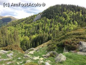 [P15] Intram din nou la racoarea padurii! » foto by noi doi
 - 
<span class="allrVoted glyphicon glyphicon-heart hidden" id="av1166016"></span>
<a class="m-l-10 hidden" id="sv1166016" onclick="voting_Foto_DelVot(,1166016,3180)" role="button">șterge vot <span class="glyphicon glyphicon-remove"></span></a>
<a id="v91166016" class=" c-red"  onclick="voting_Foto_SetVot(1166016)" role="button"><span class="glyphicon glyphicon-heart-empty"></span> <b>LIKE</b> = Votează poza</a> <img class="hidden"  id="f1166016W9" src="/imagini/loader.gif" border="0" /><span class="AjErrMes hidden" id="e1166016ErM"></span>