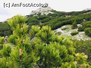 [P03]  -- <small>// FĂRĂ DESCRIERE</small> » foto by noi doi
 - 
<span class="allrVoted glyphicon glyphicon-heart hidden" id="av1166004"></span>
<a class="m-l-10 hidden" id="sv1166004" onclick="voting_Foto_DelVot(,1166004,3180)" role="button">șterge vot <span class="glyphicon glyphicon-remove"></span></a>
<a id="v91166004" class=" c-red"  onclick="voting_Foto_SetVot(1166004)" role="button"><span class="glyphicon glyphicon-heart-empty"></span> <b>LIKE</b> = Votează poza</a> <img class="hidden"  id="f1166004W9" src="/imagini/loader.gif" border="0" /><span class="AjErrMes hidden" id="e1166004ErM"></span>